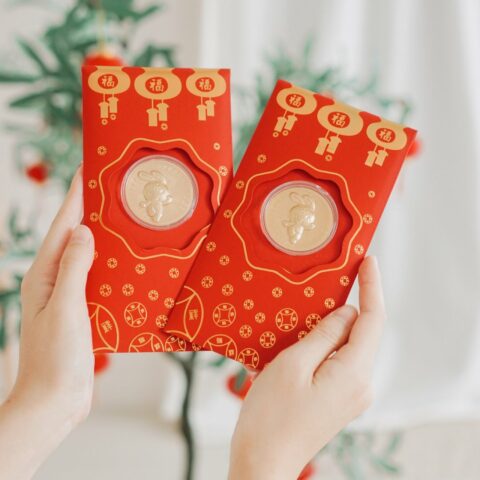 Angpao with Lucky Gold Coin 福星高照幸运  红包+🐰金币