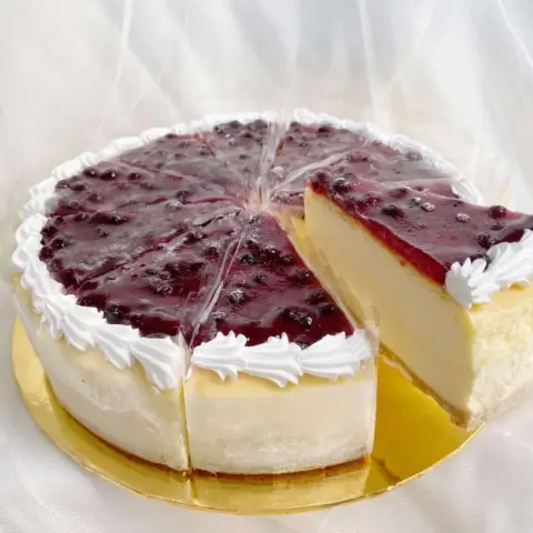 Blueberry Cheesecake 5 Blueberry Cheesecake Slice