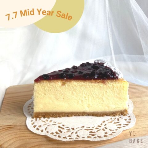 Blueberry Cheesecake 7.7 free delivery