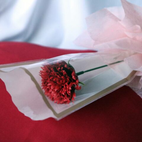 Red carnation flower stalk