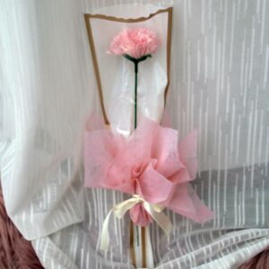 Pink carnation flower stalk