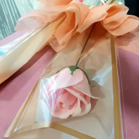 Pink rose single stalk Pink rose single stalk