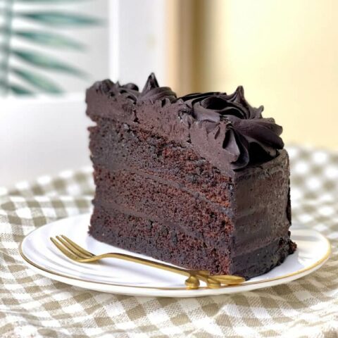 Chocolate Moist Slice Cake (1)