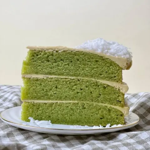 Gula Melaka Pandan Coconut Slice Cake (2) Gula Melaka Pandan Coconut Slice Cake