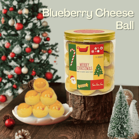 Blueberry Cheese Ball (1)