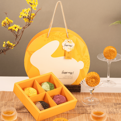 Yellow Rabbit 2025 (3)